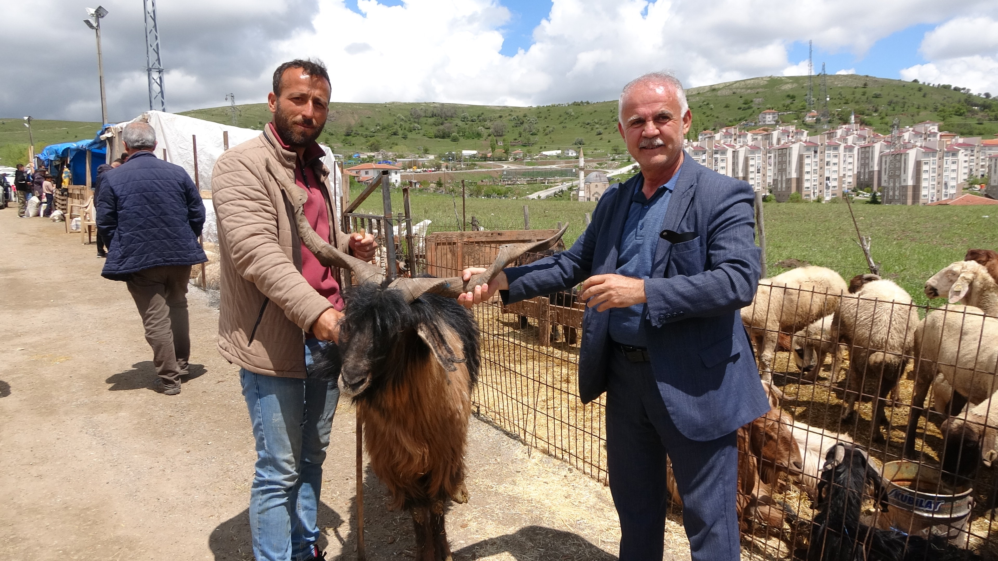 Yozgat Hayvan Pazarında Kurbanlık Yoğunluğu Besiciler ve Vatandaşlar Arasında Sıkı Pazarlık Sürüyor