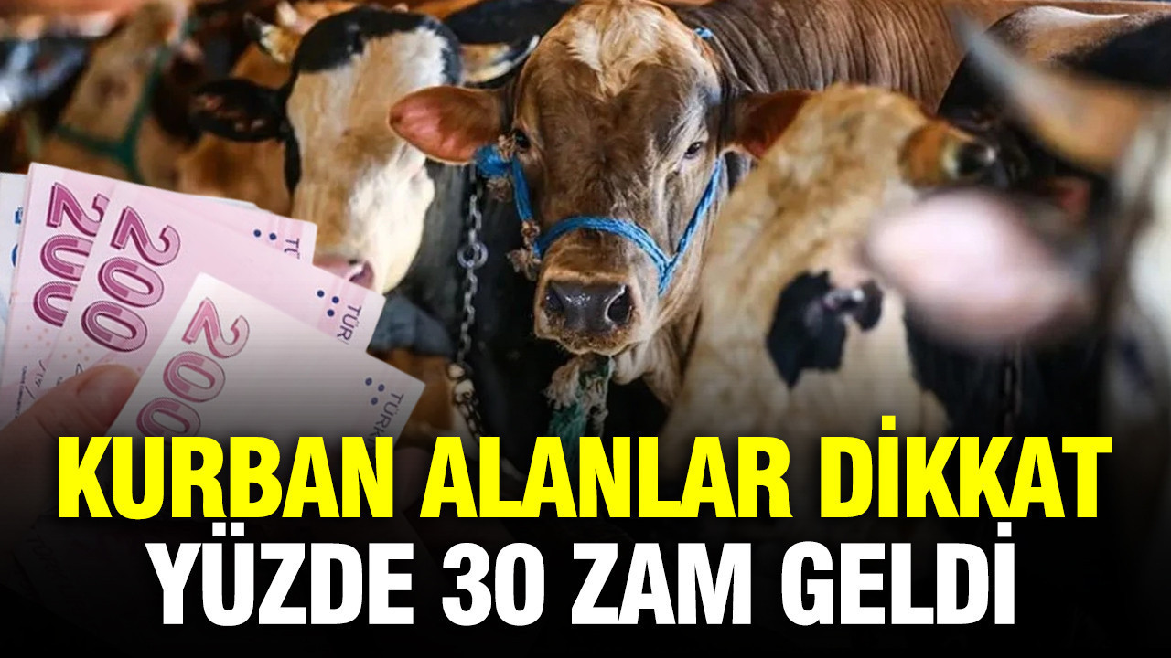 Kurbanlık Alacaklara Kötü Haber: Fiyatlar Yüzde 30 Arttı