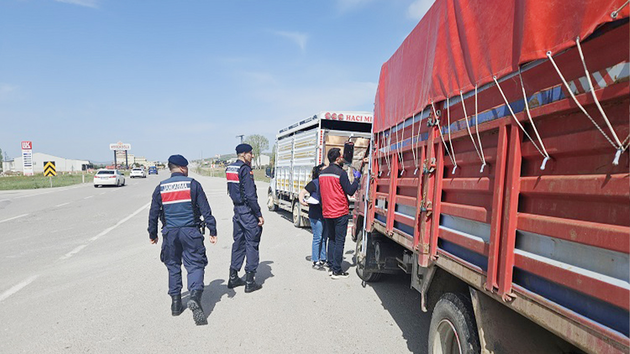 Kurban Bayramı yaklaşırken Yozgat’ta bunu yapan yandı: Büyük cezası var!