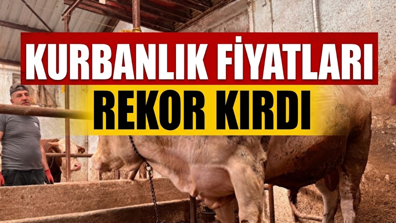 2026 Kurbanlık Fiyatları Rekora Koşuyor! Büyükbaş 400 Bin TL Küçükbaş 50 Bin TL'yi Gördü
