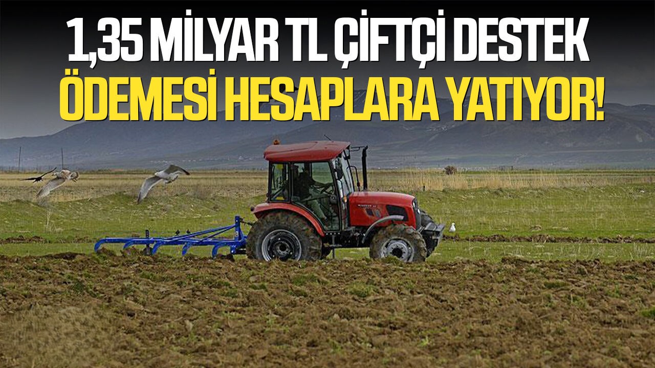 Çiftçi Destek Ödemeleri Başladı: 1,35 Milyar TL Hesaplara Yatıyor