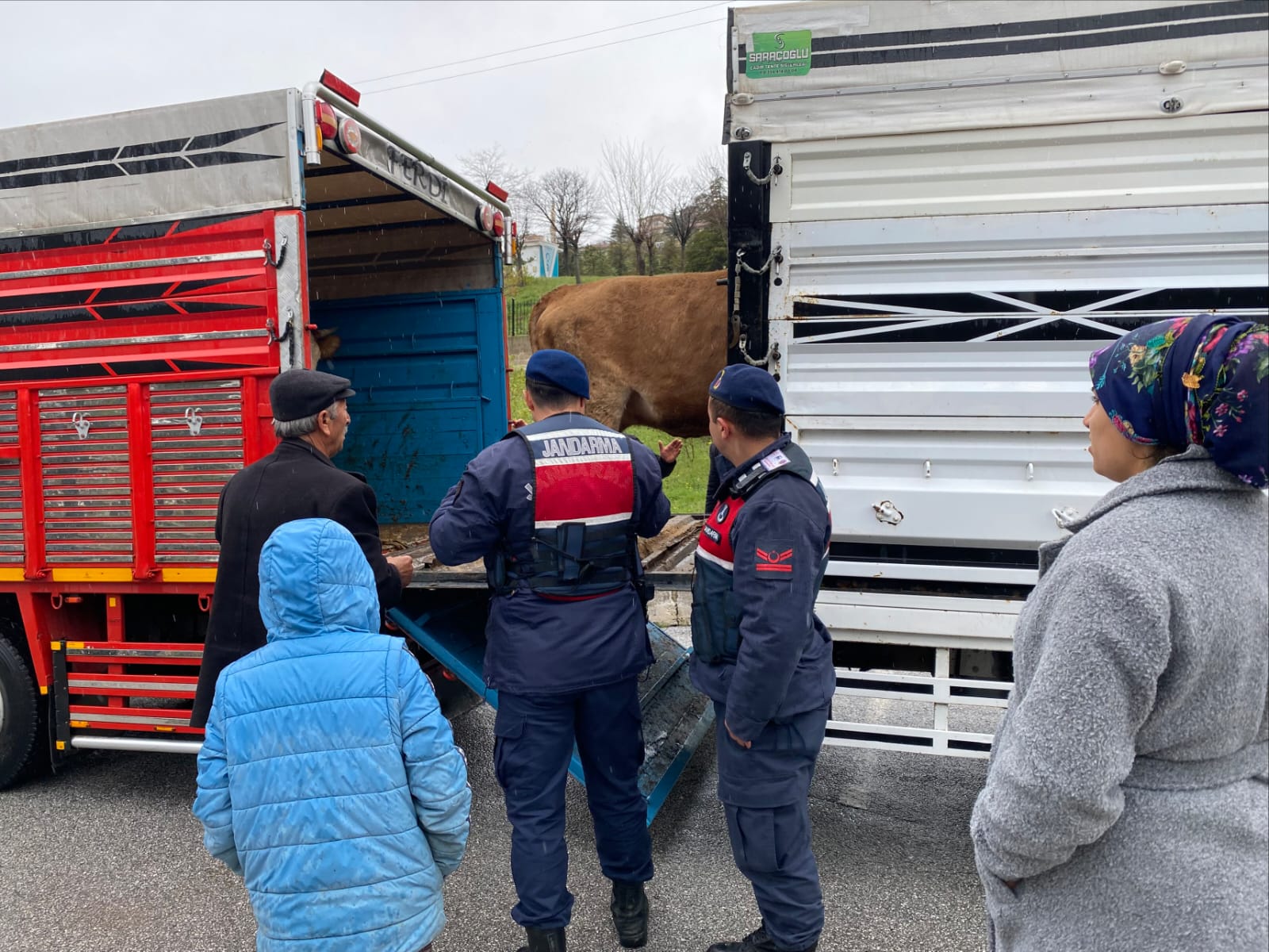 Yozgat’ta Jandarma Harekete Geçti: Çalınan Hayvanlar Kurtarıldı