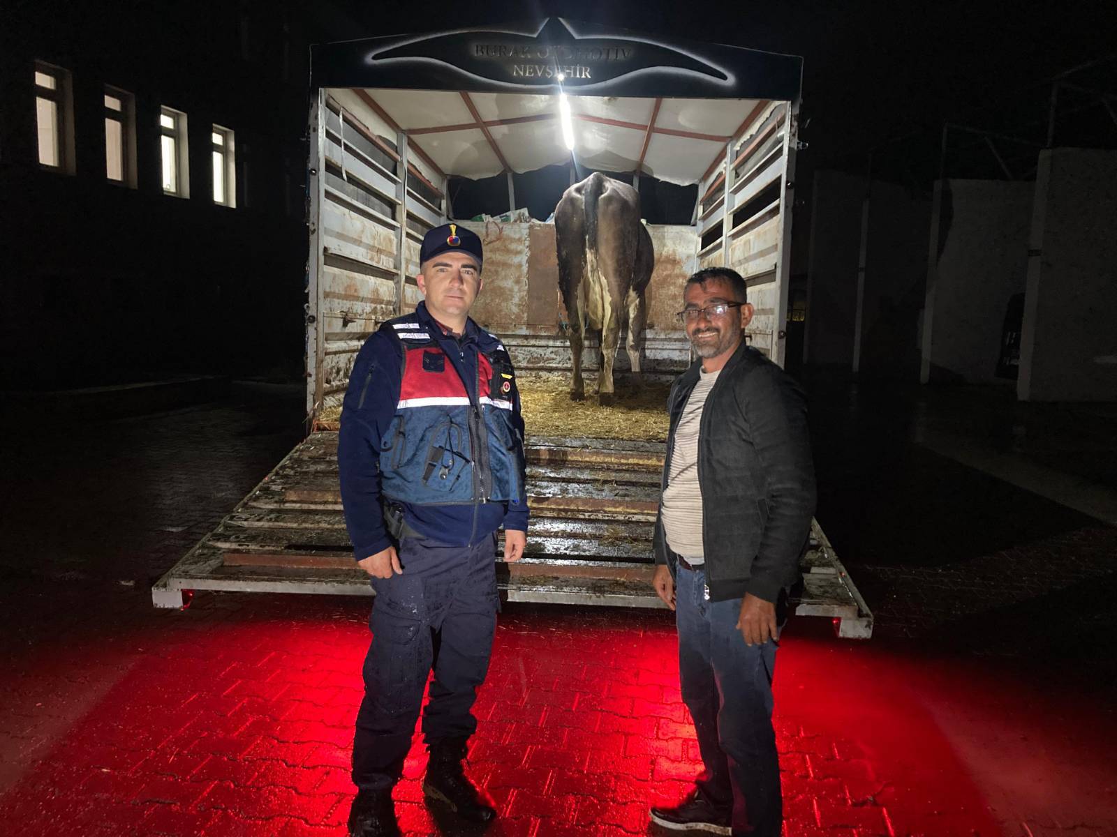 Yozgat’ta Kayıp Büyükbaş Hayvan Jandarma Ekiplerince Sahibine Teslim Edildi
