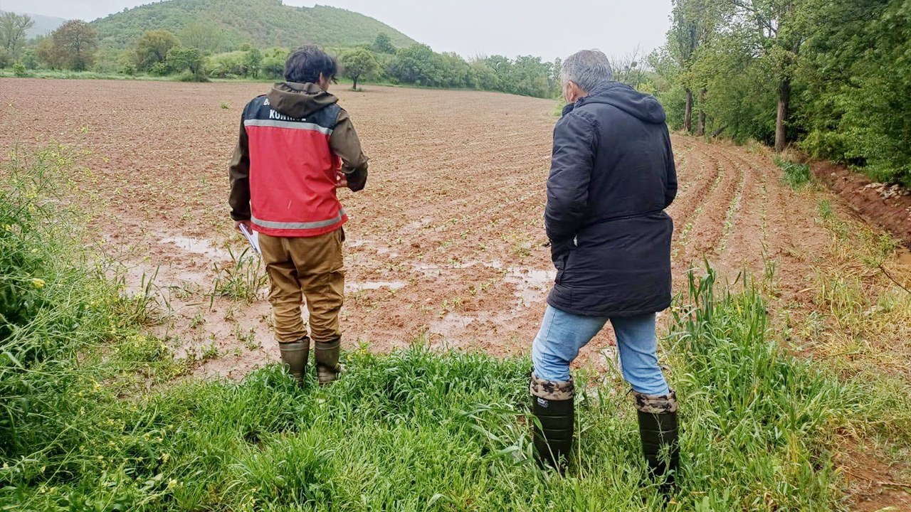 Yozgat’ın o ilçesinde yağışlar tarım arazilerini vurdu!
