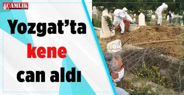 Kene Yozgat’ta can aldı