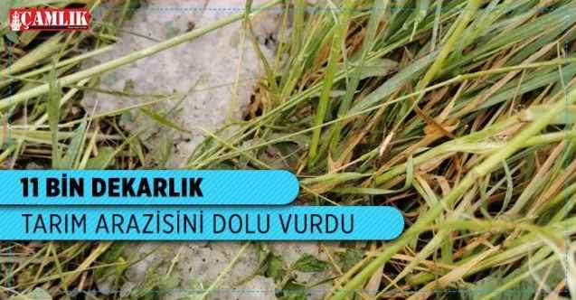 Boğazlıyan'da 11 bin dekarlık tarım arazisini dolu vurdu