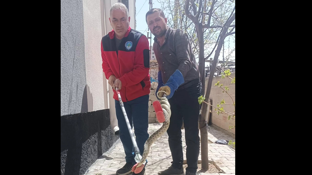 Boğazlıyan’da Korku Dolu Anlar: İtfaiye Tarafından Yakalandı