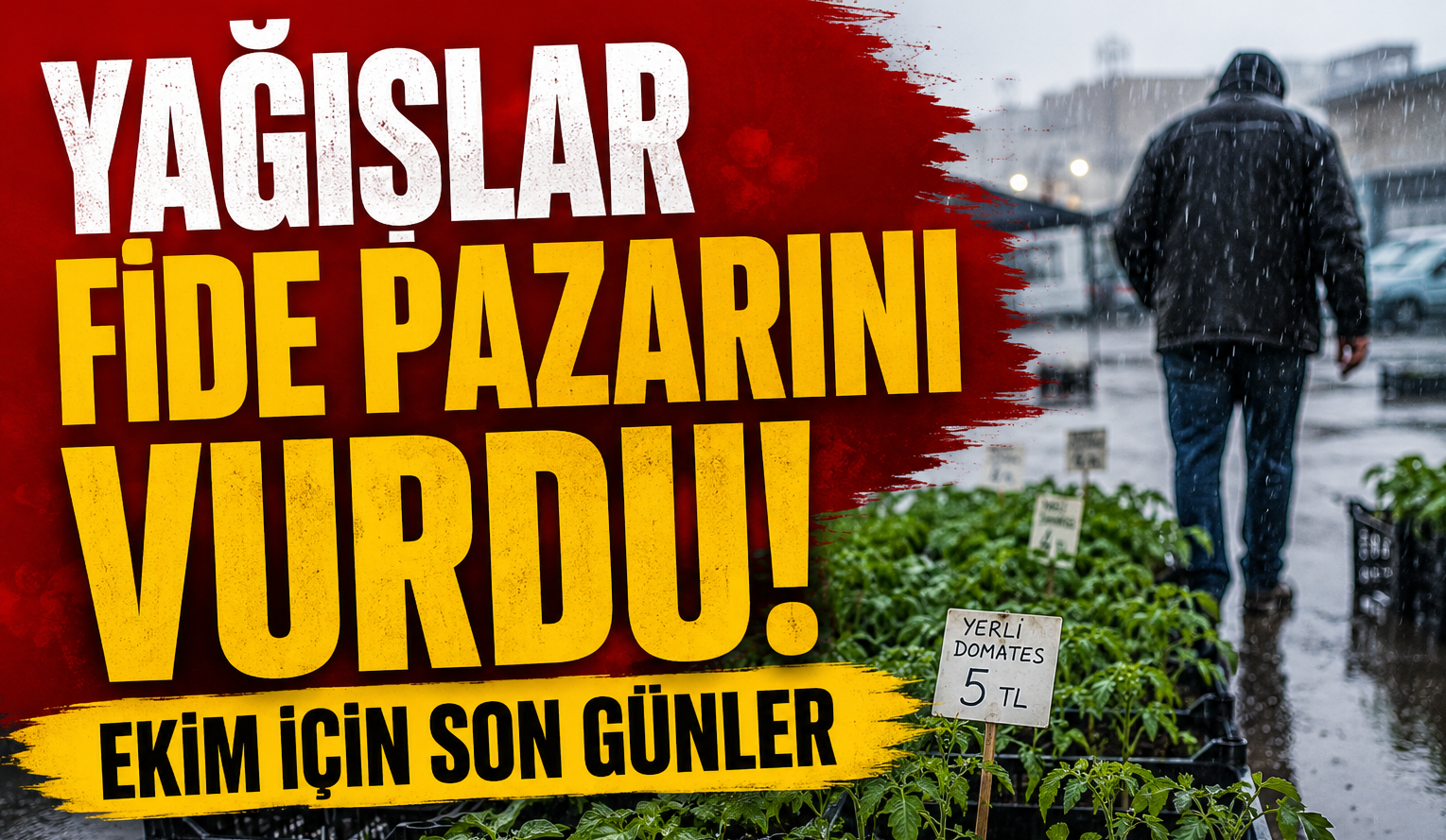 Yağışlar Fide Pazarını Vurdu: Ekim İçin Son Günler