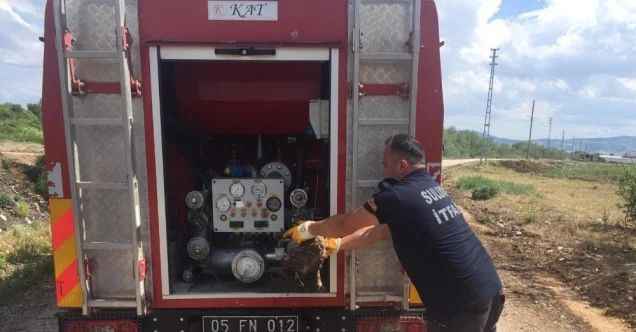 Devriye gezen polis fark etti, Suluova itfaiyesi kurtardı
