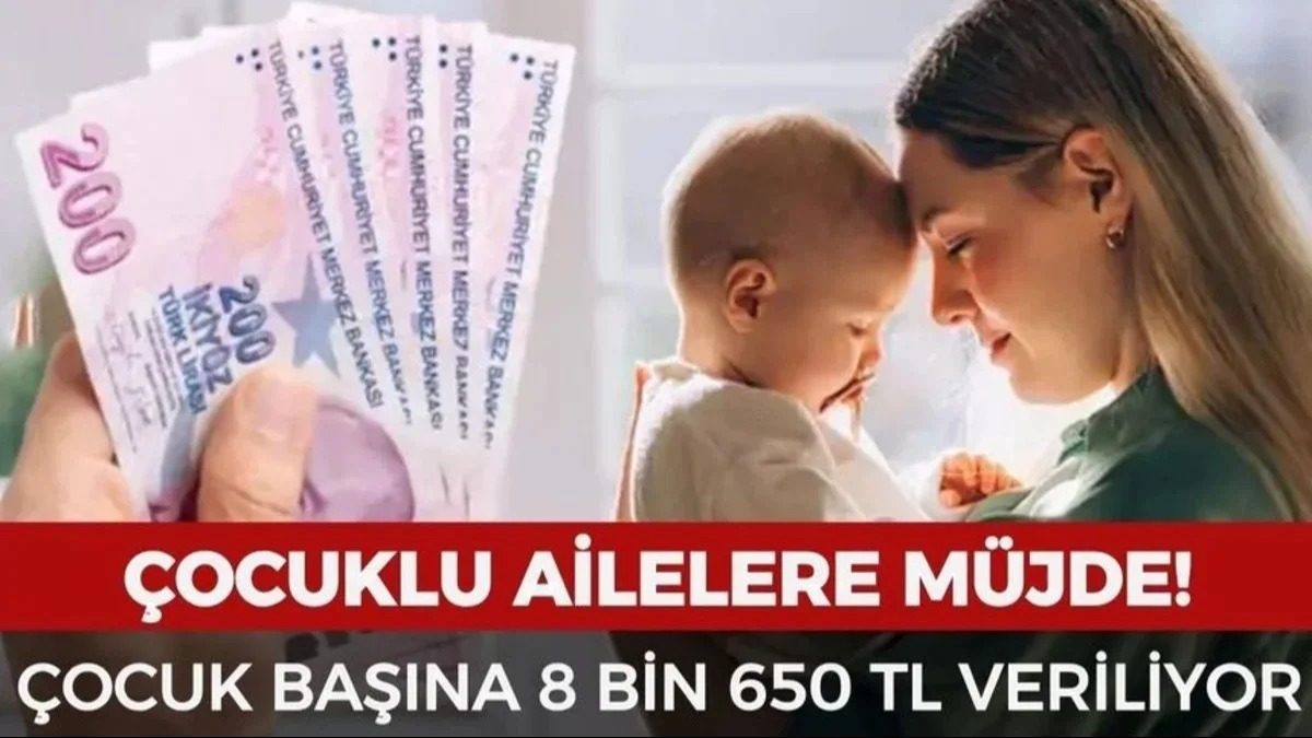 Çocuklu Ailelere 8.650 TL Destek Verilecek: Başvuru Şartları ve Detaylar Açıklandı