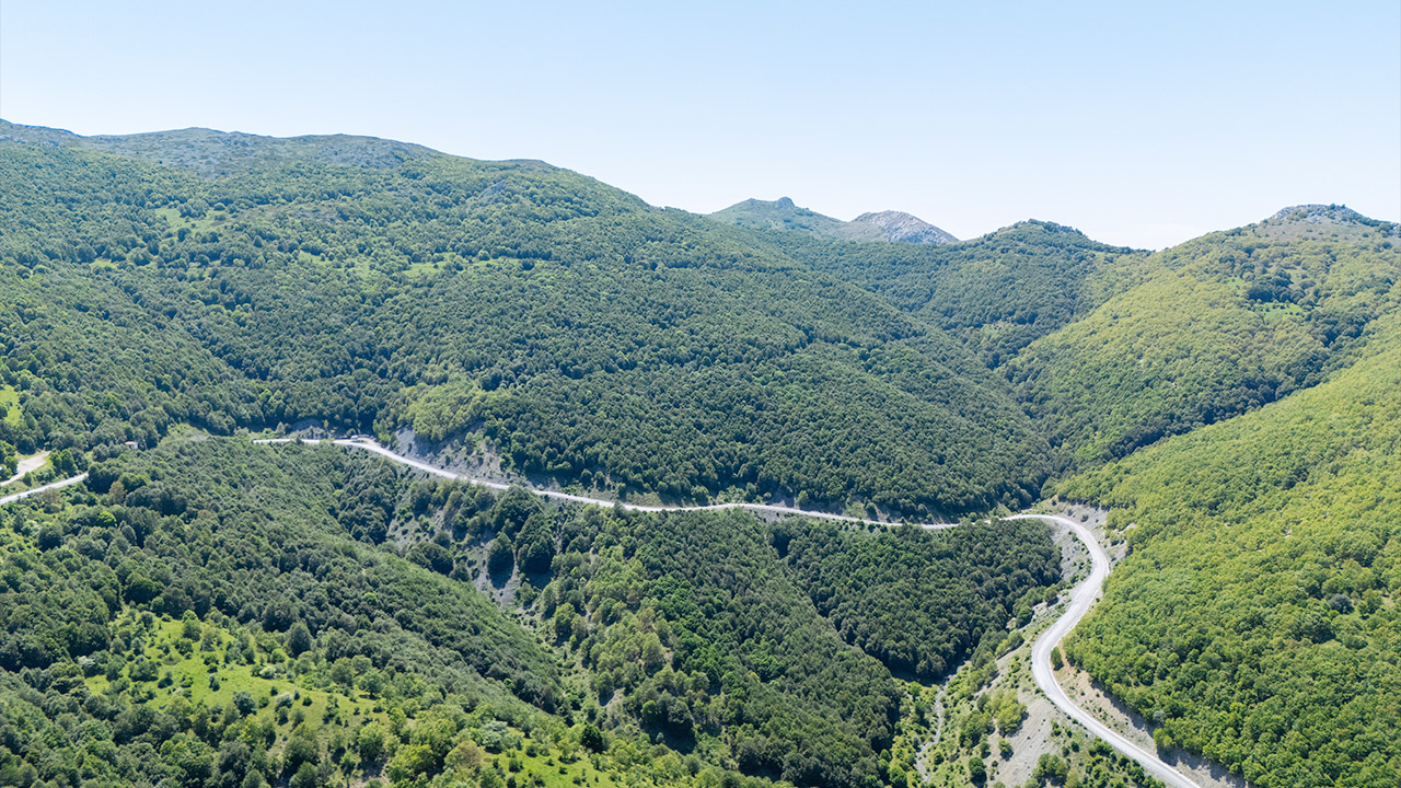 Doğanın Kalbi Burada Atıyor: Yozgat Aydıncık Şebek Geçidi Yeşile Büründü!