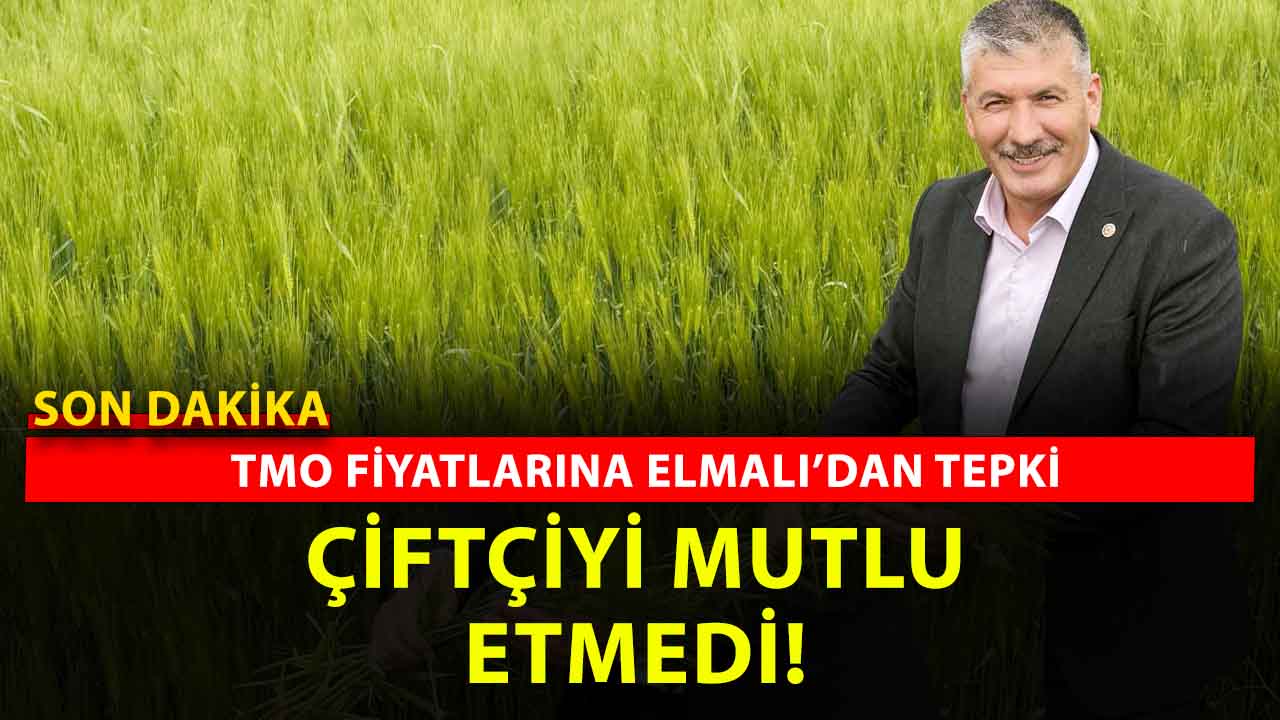 TZOB Yönetim Kurulu Üyesi Eyyup Elmalı’dan TMO Tepkisi: Yozgatlı Çiftçi Bu Maliyetle Ayakta Kalmakta Zorlanıyor