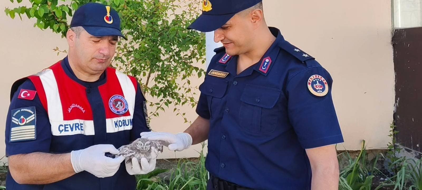 Yozgat’ta Minik Misafire Jandarma Sahip Çıktı