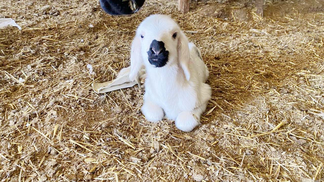 Yozgat’ın tarımına dev destek! Kırsala bereket geliyor!