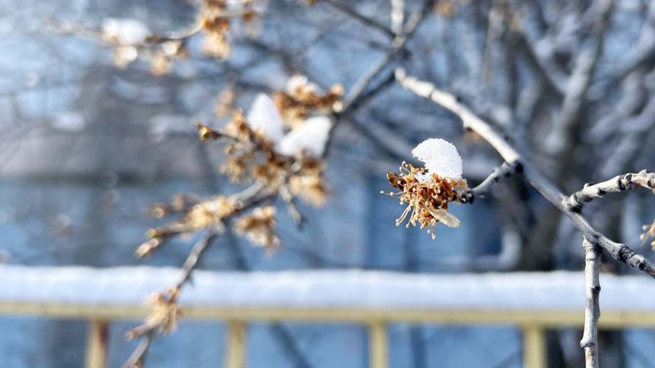 Yozgat'ta zirai dondan etkilenenlere müjde o bankadan geldi!