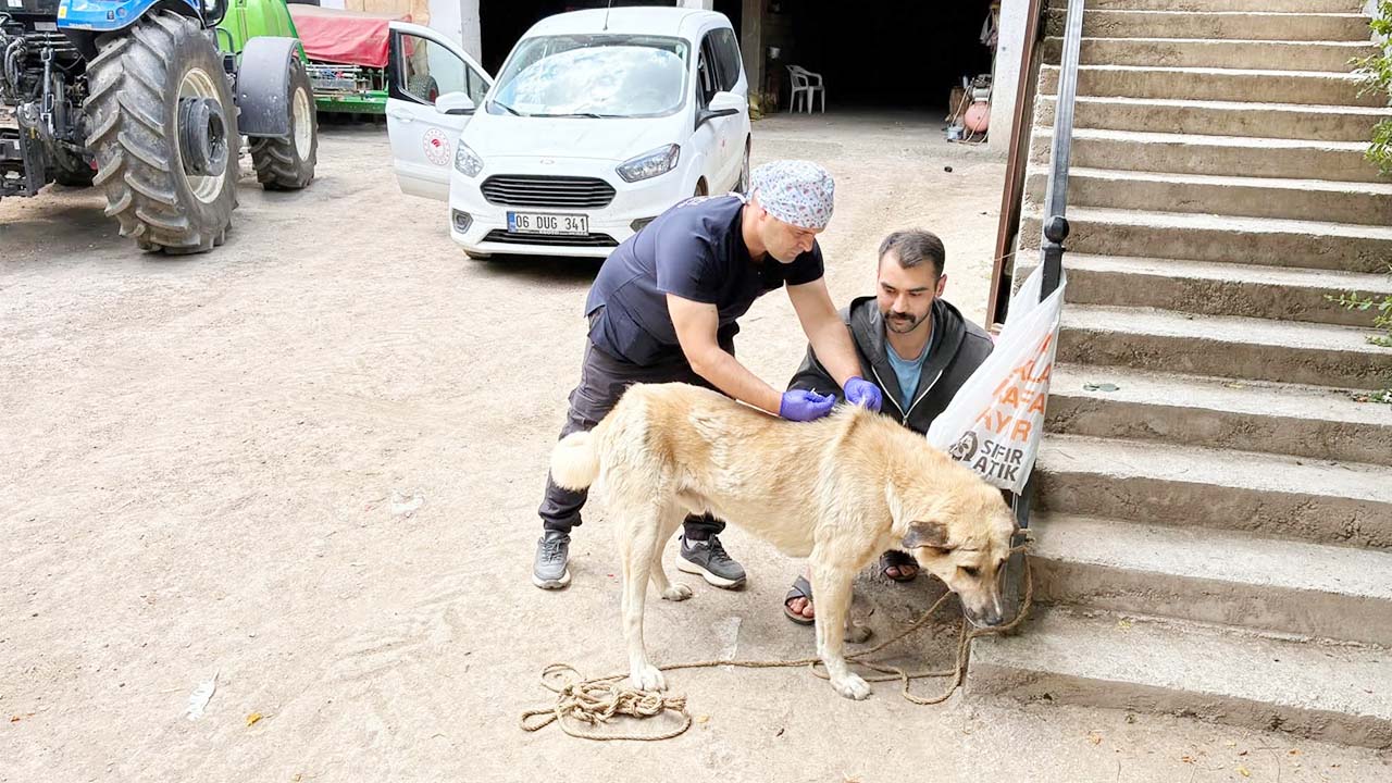 Yozgat’ta Hayvan Sahiplerine Son Uyarı: Son Tarih 31 Aralık