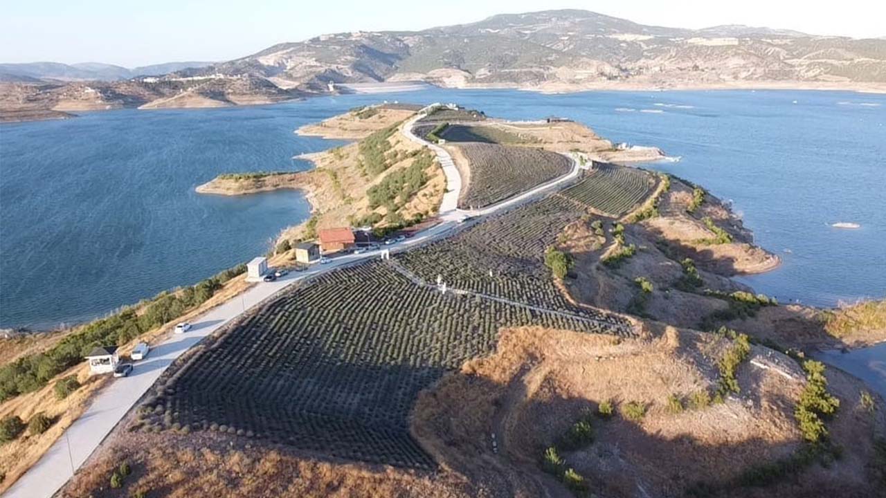 Yozgat’ta lavanta adasındaki evler kiraya verilecek!
