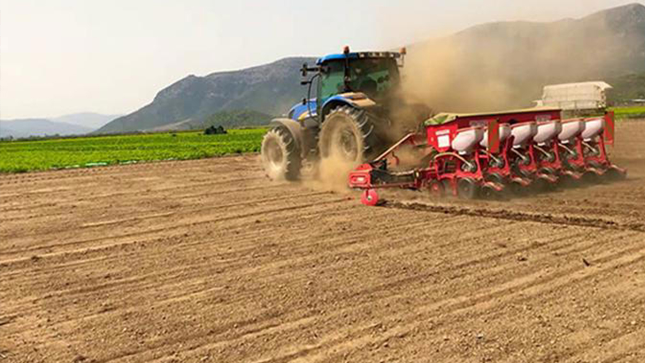 Yozgat’ta Araç Fiyatına Dev Tarla Satışa Çıkıyor