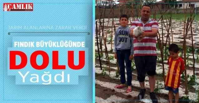 Fındık büyüklüğünde dolu tarım arazilerine zarar verdi