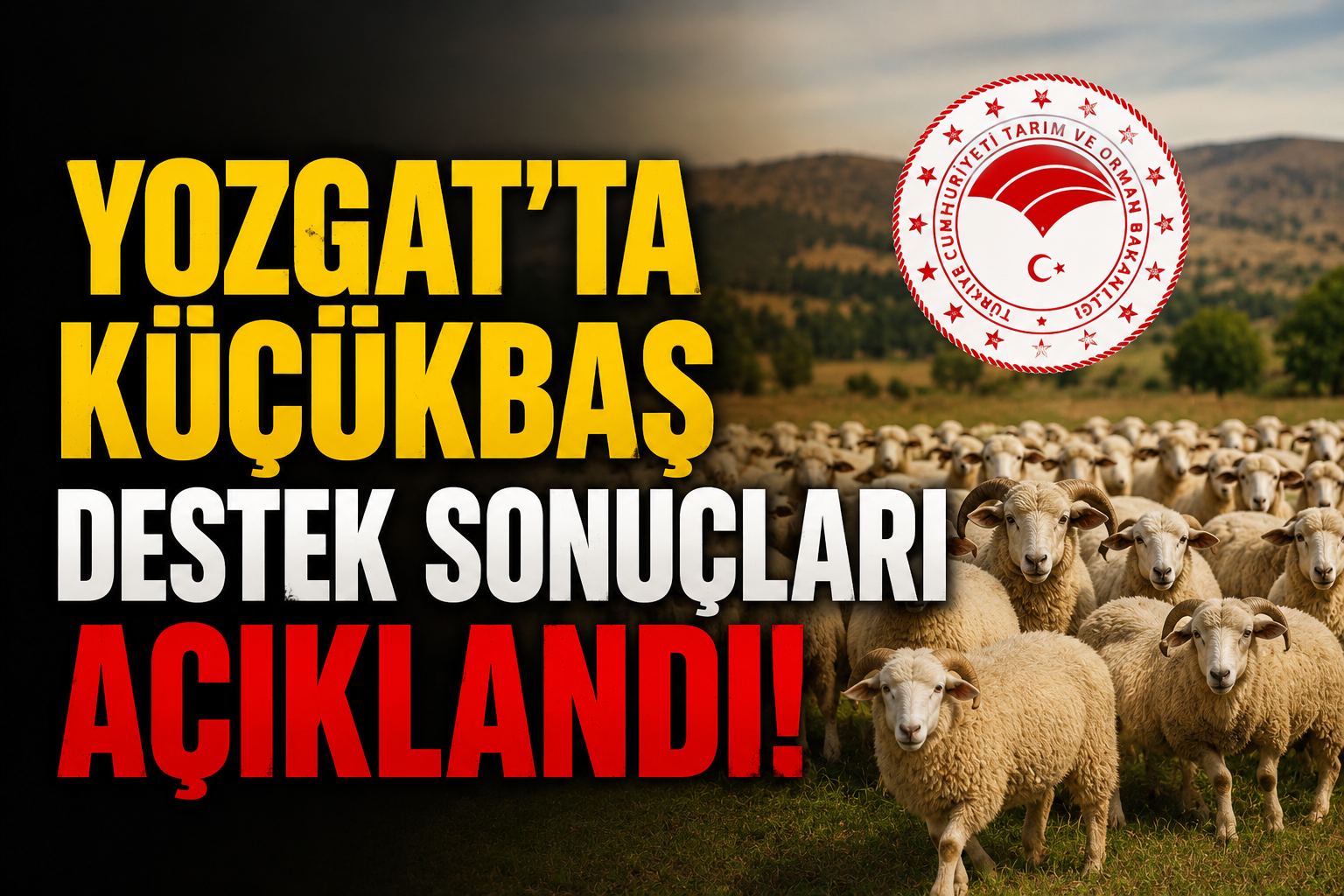 Yozgat'ta Küçükbaş Destek Sonuçları Açıklandı! Hak Sahipleri Belli Oldu