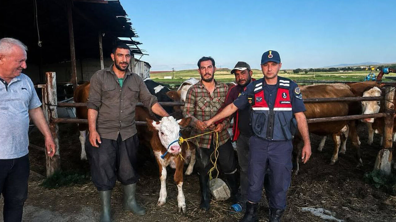 Yenifakılı’da Kayıp Büyükbaş Hayvan Sahibine Teslim Edildi