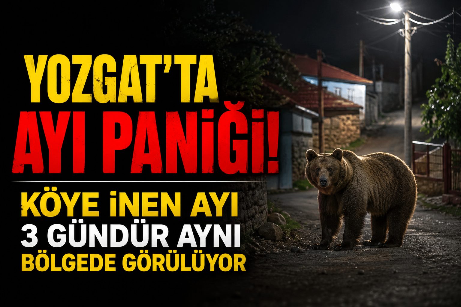 Yozgat'ta Ayı Paniği! Köye İnen Ayı 3 Gündür Aynı Bölgede Görülüyor