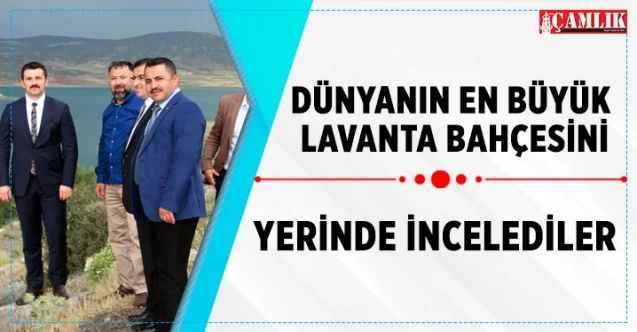 Dünyanın en büyük lavanta bahçesini yerinde incelediler