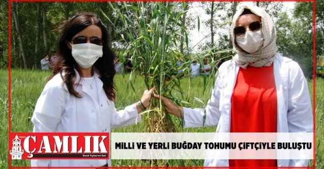 Yerli buğday tohumu  çiftçiyle buluştu