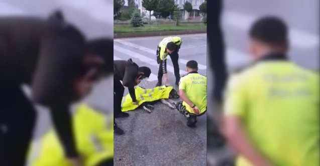 Kazada yaralanan köpeğe trafik polisinden şefkat eli
