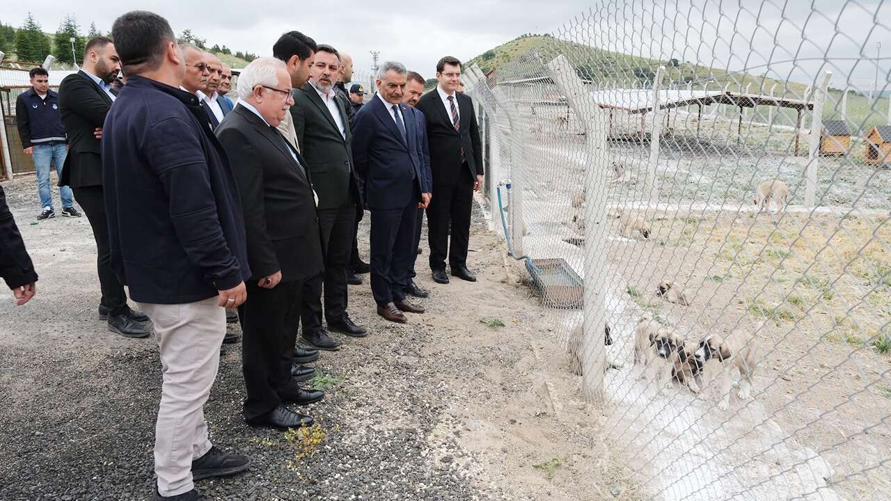 Vali Özkan Yerköy Hayvan Bakımevi’nde İncelemelerde Bulundu