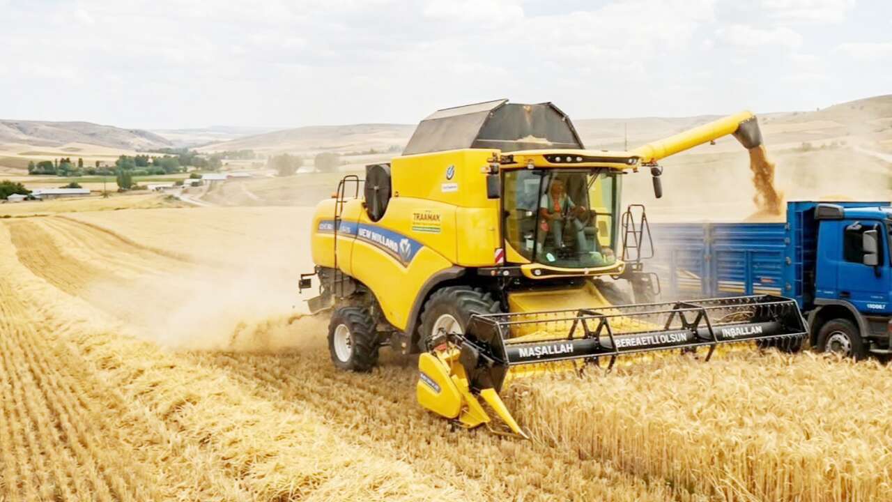 Yerköy Sekili’de Hasat Sezonu Başladı: Biçerdöverler Tarlalara Girdi, Çiftçilerin Emeği Karşılık Buluyor