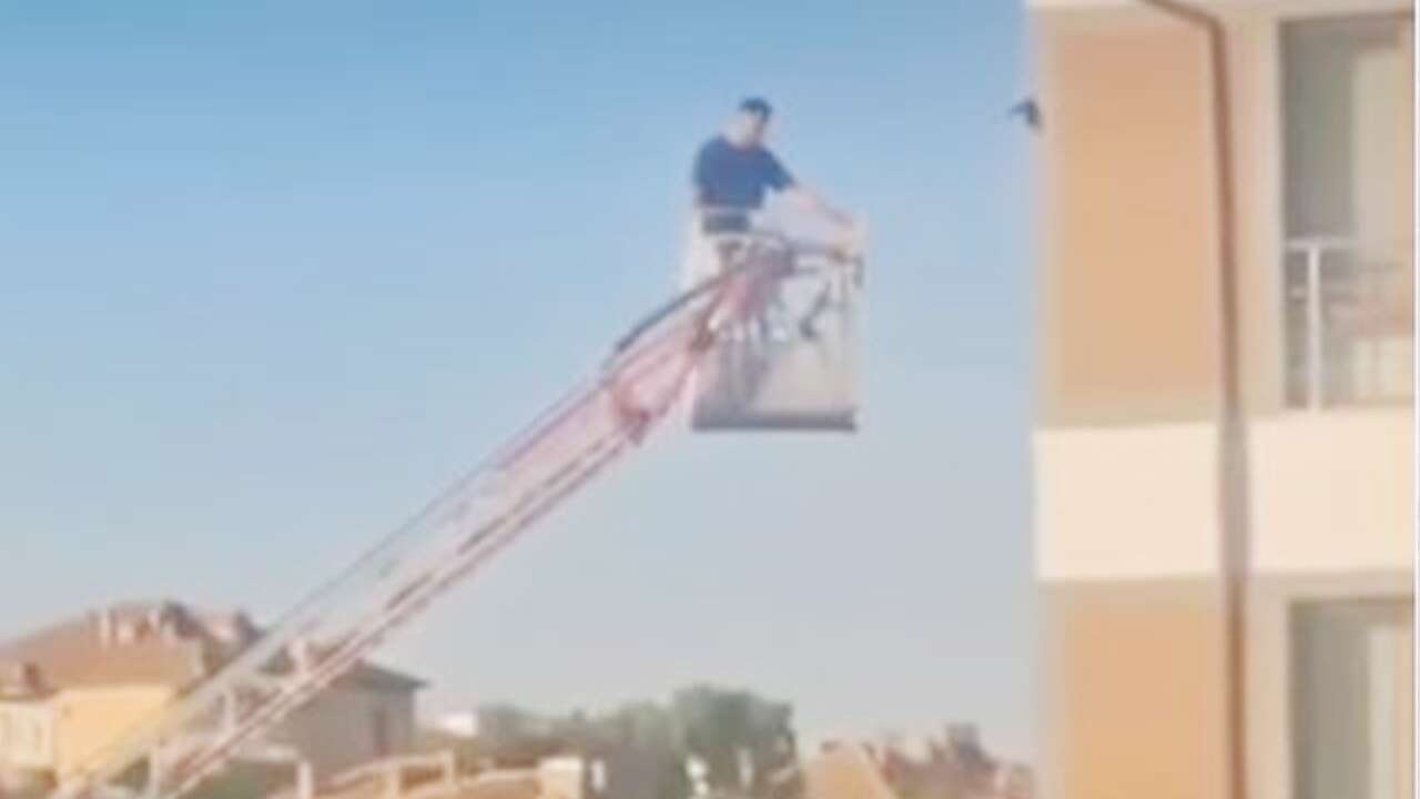 Boğazlıyan’da Çatıda Mahsur Kalan Kuşu İtfaiye Ekipleri Kurtardı