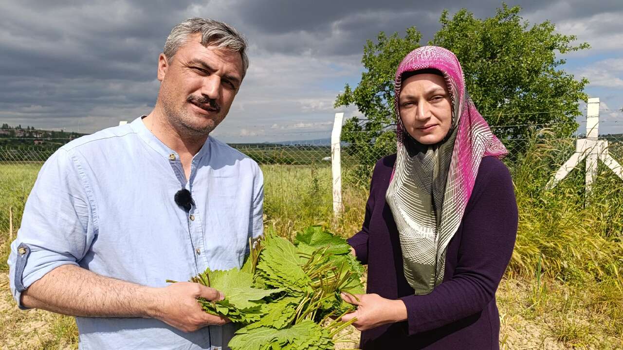 Yozgat'ta Modern Bağcılık Başarısı! Başkan Çifti Akıllı Sistemle Üretimde Örnek Oldu
