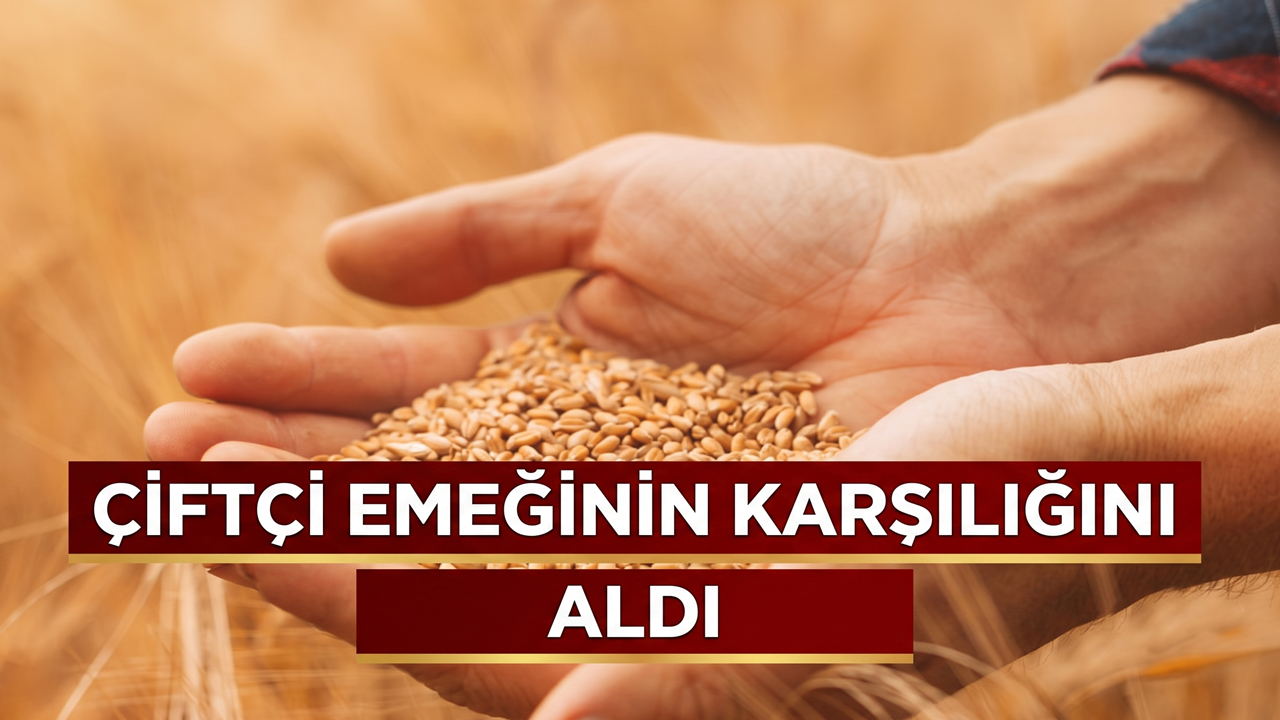 Çiftçi Emeğinin Karşılığını Aldı: Elindeki 1 Milyon Tonluk Malı Sattı!