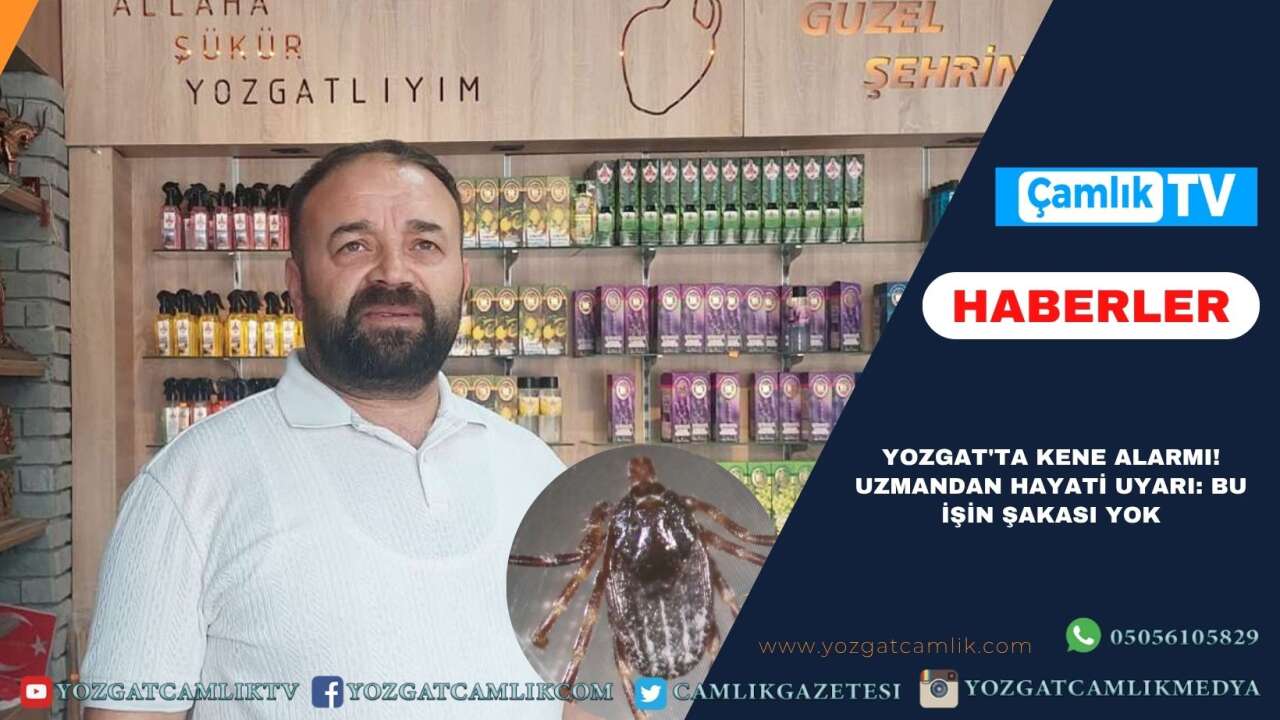 Yozgat'ta Kene Alarmı! Uzmandan Hayati Uyarı: Bu İşin Şakası Yok