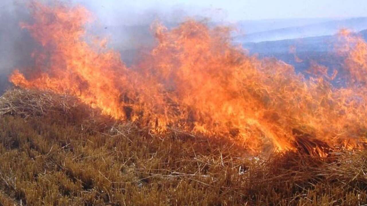 Yozgat'ta Anız ve Kontrolsüz Ateş Yakanlara Ceza!