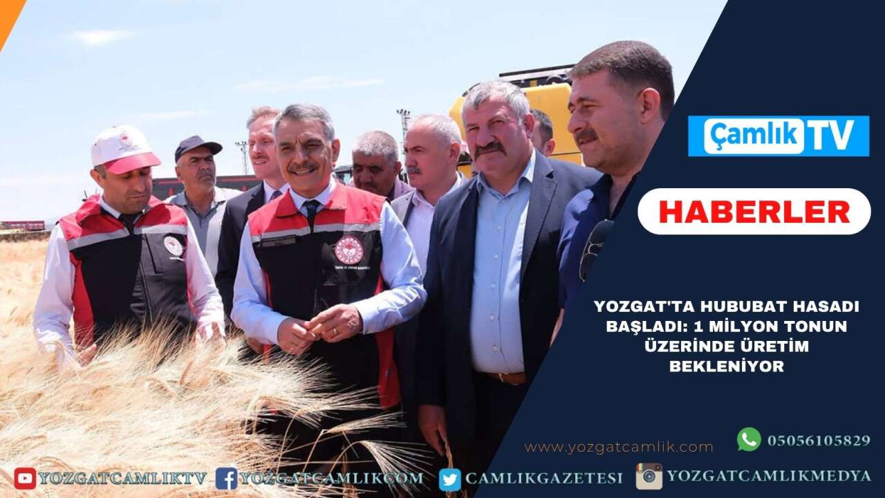 Yozgat'ta hububat hasadı başladı: 1 milyon tonun üzerinde üretim bekleniyor