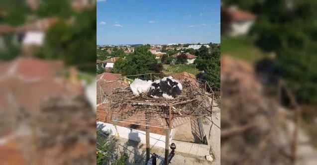 Dağılan leylek yuvası yerine güvenli yuva