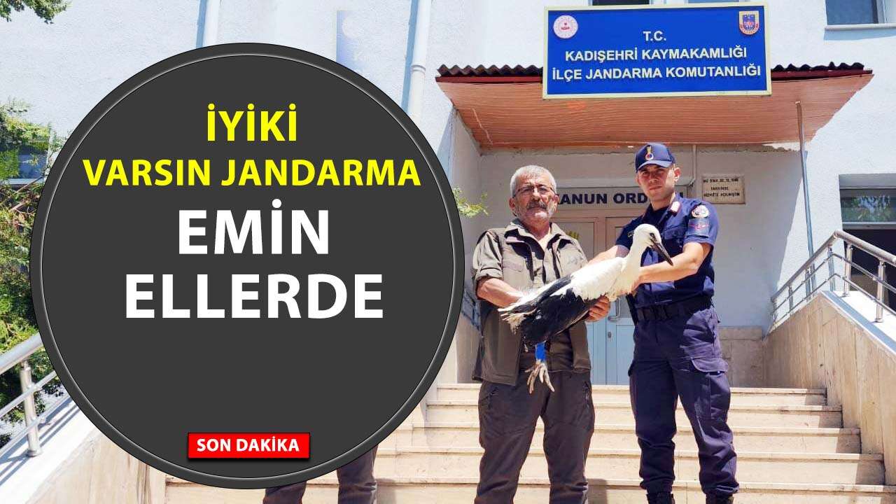 Yozgat'ta leyleğe jandarma koruması