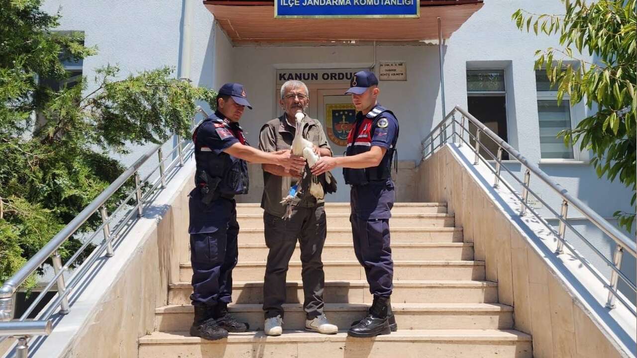 Yozgat'ta Jandarmadan Yaralı Leyleğe Şefkat Eli! Tedavisinin Ardından Doğaya Bırakılacak