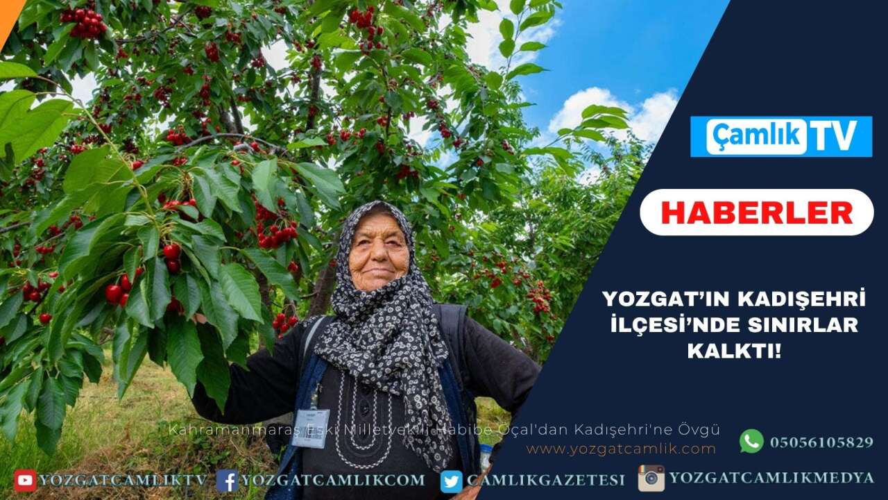 Meyve üretimi yılda ortalama 15 bin ton seviyesine ulaştı.