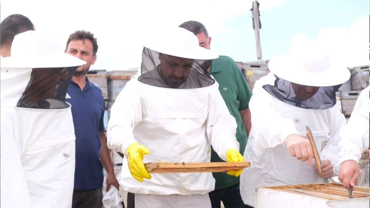 Başkan Ekinci Sezonun İlk Bal Hasadına Katıldı! Sorfest 2026'da En İyi Bal Yarışması Düzenlenecek
