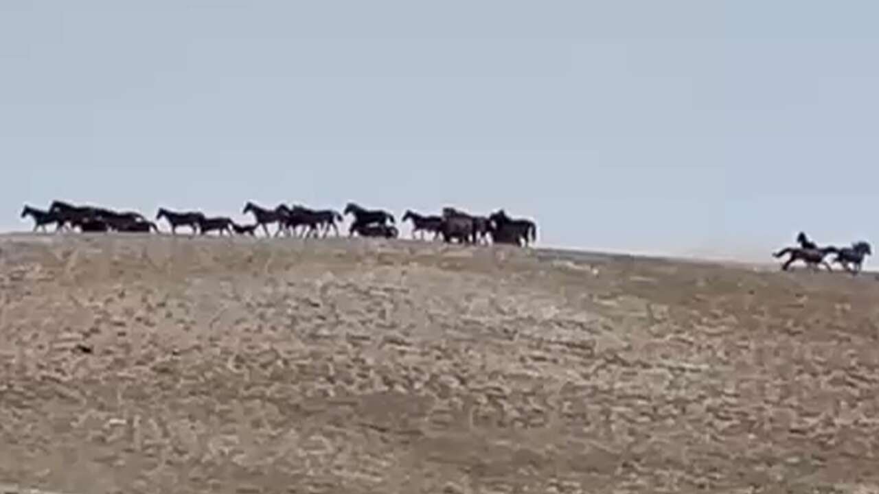 Yozgat Çayıralan'ın Zirvesinde Kartpostallık Manzara!