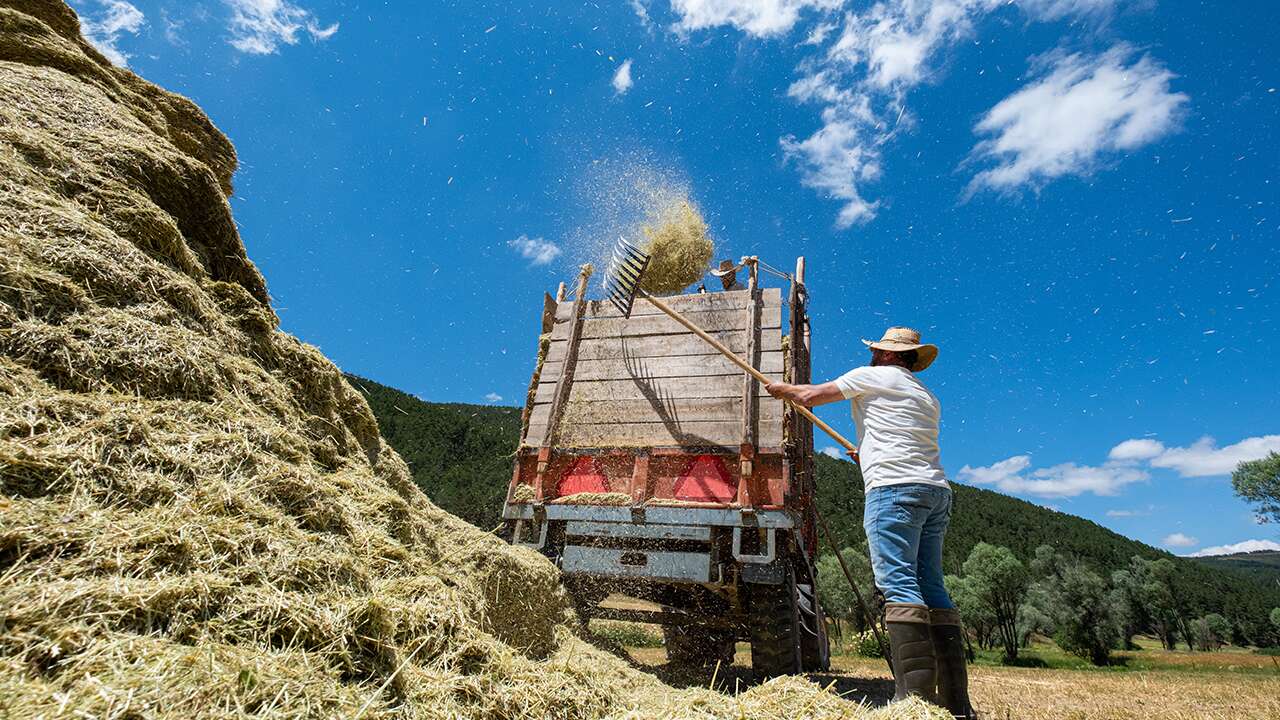 Yozgat'ta Kış Hazırlığı Başladı! Çiftçiler Kaba Yem Mesaisinde