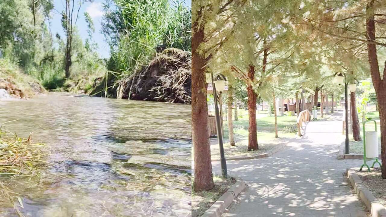 Yozgat’ın Saklı Cenneti: Kaynarpınar Mesire Alanı Doğaseverleri Bekliyor