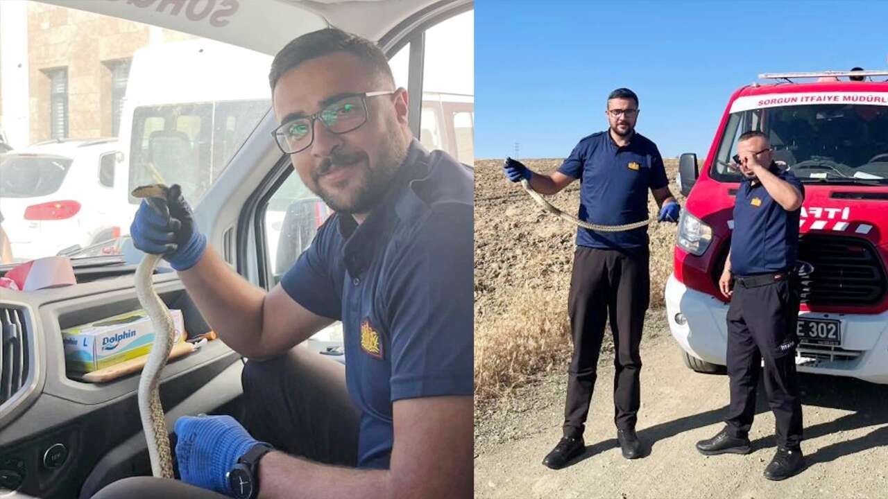 Sorgun’da Kaymakamlık Bahçesinden Sürpriz Misafir Çıktı