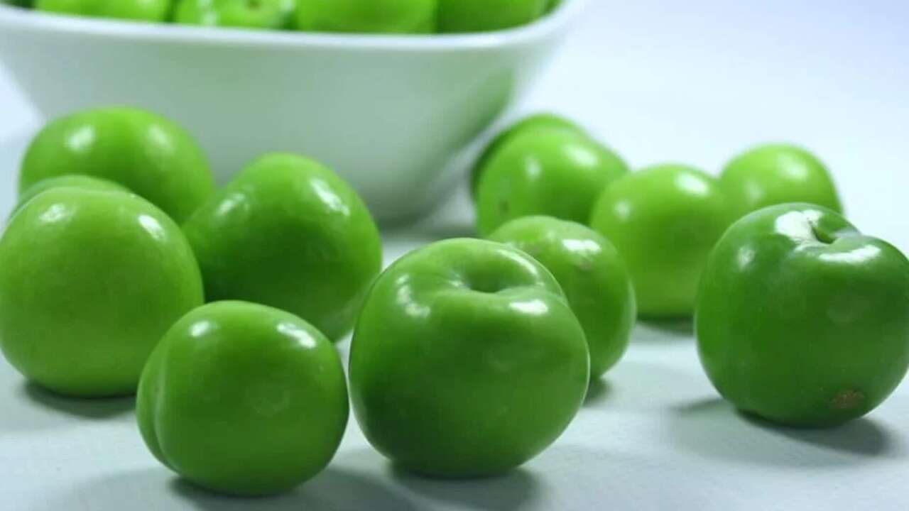 Yeşil Erik Tüketen Yozgatlıların Yüzü Gülüyor: Günde 10-12 Adet Tüketildiğinde…