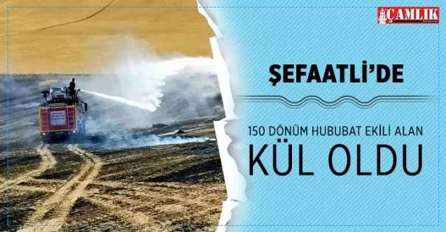 Şefaatli'de 150 Dönüm ekili alan kül oldu
