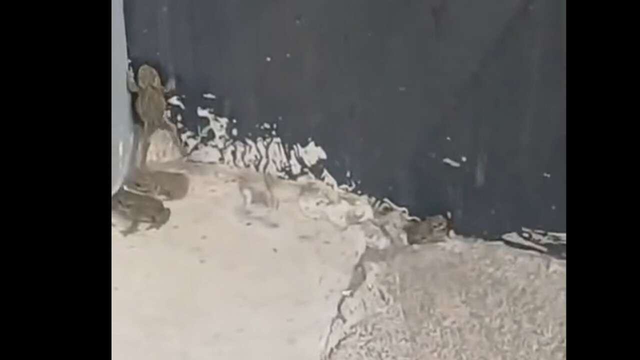 Sorgun’da Yağmur Sonrası Şaşırtan Görüntü