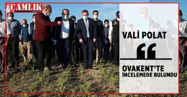 Vali Ziya Polat Ovakent Beldesinde incelemelerde bulundu